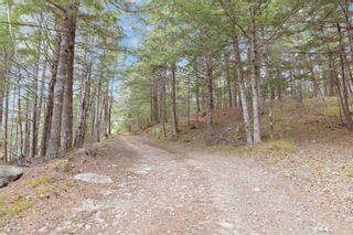 Photo 46: 280 Maders Mill Road in Blockhouse: 405-Lunenburg County Vacant Land for sale (South Shore)  : MLS®# 202308722