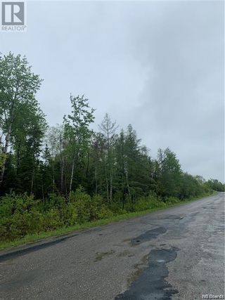 Photo 7: Lot Centennial Street in Plaster Rock: Vacant Land for sale : MLS®# NB083020