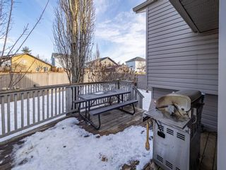 Photo 30: 139 Springs Crescent SE: Airdrie Detached for sale : MLS®# A1065825