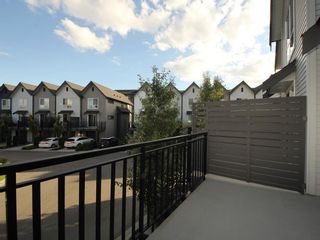 Photo 13: 16 2325 RANGER Lane in Port Coquitlam: Riverwood Townhouse for sale in "Fremont Blue" : MLS®# R2272901