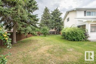 Photo 44: 11116 171 Avenue in Edmonton: Zone 27 House for sale : MLS®# E4309469
