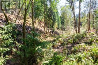 Photo 12: Lot 13 Decourcy Dr in Nanaimo: Vacant Land for sale : MLS®# 954013
