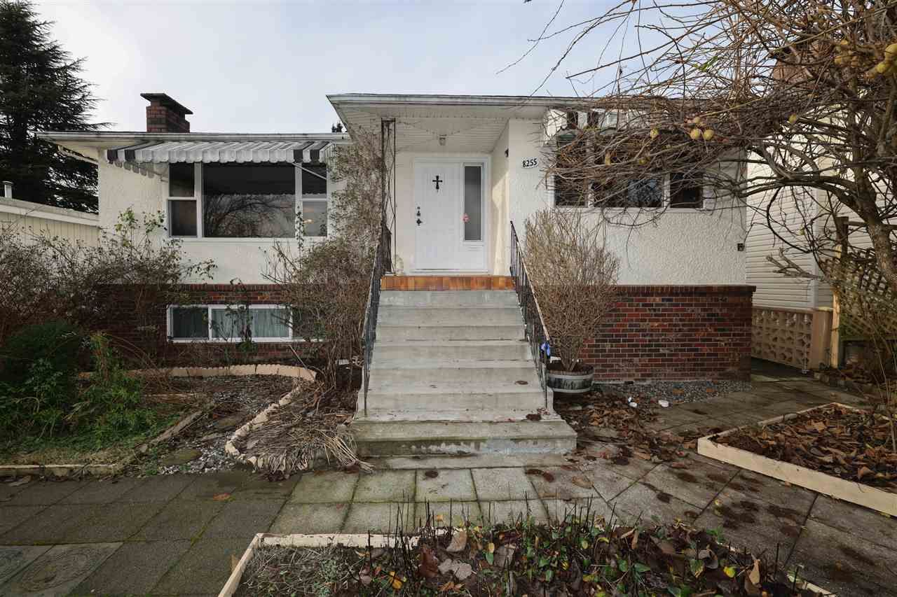 Main Photo: 8255 ELLIOTT Street in Vancouver: Fraserview VE House for sale (Vancouver East)  : MLS®# R2527761