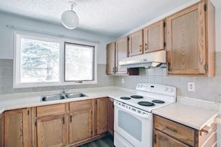 Photo 11: 4531 43 Street NE in Calgary: Whitehorn Detached for sale : MLS®# A1209196