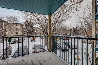 Photo 6: 214 10 Dover Point SE in Calgary: Dover Apartment for sale : MLS®# A2030038