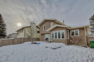 Photo 7: 119 Woodstock Road SW in Calgary: Woodlands Detached for sale : MLS®# A2029354