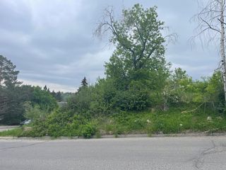 Main Photo: 3803 8A Street SW in Calgary: Elbow Park Residential Land for sale : MLS®# A2055274