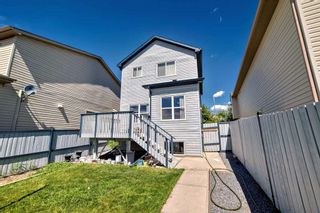 Photo 31: 271 Martindale Drive NE in Calgary: Martindale Detached for sale : MLS®# A2138652