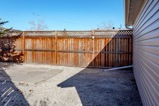 Photo 39: 92 Faldale Close NE in Calgary: Falconridge Detached for sale : MLS®# A1203987