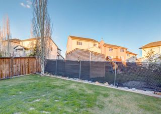 Photo 46: 248 EVANSBROOKE Way NW in Calgary: Evanston Detached for sale : MLS®# A1221592