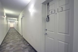 Photo 32: 4313 215 Legacy Boulevard SE in Calgary: Legacy Apartment for sale : MLS®# A1199952