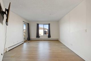 Photo 3: 213 5 Saddlestone Way NE in Calgary: Saddle Ridge Apartment for sale : MLS®# A2114644