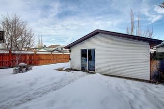 Photo 41: 60 Country Hills Grove NW in Calgary: Country Hills Detached for sale : MLS®# A1074597
