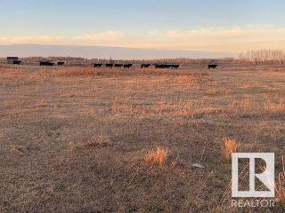 Photo 7: 163074 Twp Rd 560 Acres: Rural Lamont County Vacant Lot/Land for sale : MLS®# E4368001