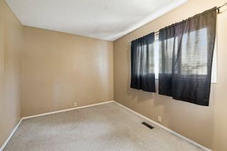 Photo 20: 2719 41A Avenue SE in Calgary: Dover Detached for sale : MLS®# A1132973