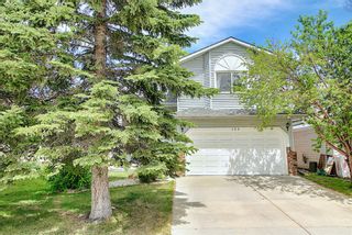 Photo 43: 120 Rivergreen Crescent SE in Calgary: Riverbend Detached for sale : MLS®# A1206073