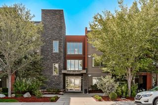 Photo 1: 210 2727 28 Avenue SE in Calgary: Dover Apartment for sale : MLS®# A2079510
