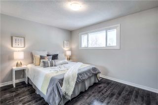 Photo 16: 76 Loganberry Cres in Toronto: Hillcrest Village Freehold for sale (Toronto C15)  : MLS®# C3710592