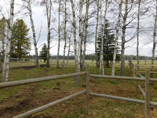 Photo 34: 84078 Highway 591: Rural Clearwater County Detached for sale : MLS®# A1111743