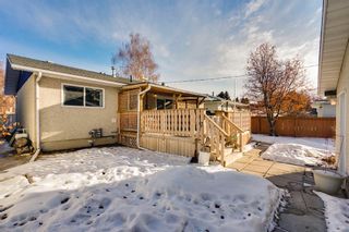 Photo 28: 223 Martell Road NE in Calgary: Marlborough Detached for sale : MLS®# A2021187