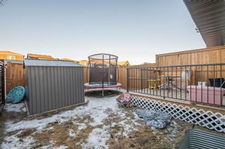 Photo 36: 162 Livingston Avenue NE in Calgary: Livingston Semi Detached (Half Duplex) for sale : MLS®# A2021154