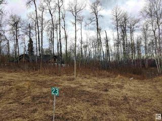 Photo 3: 23 53524 RGE RD 275: Rural Parkland County Vacant Lot/Land for sale : MLS®# E4330826