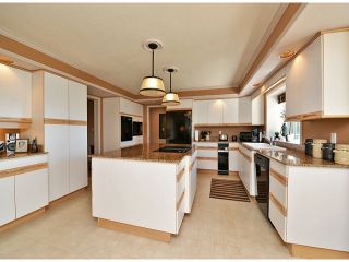 Photo 9: 35102 PANORAMA Drive in Abbotsford: Abbotsford East House for sale in "Everett Estates" : MLS®# F1417437