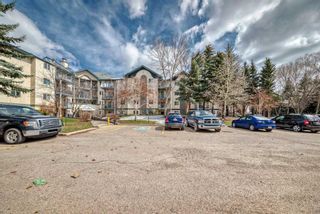 Photo 41: 118 20 Dover Point SE in Calgary: Dover Apartment for sale : MLS®# A2124249