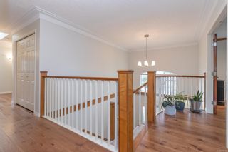 Photo 3: 1136 Lucille Dr in Central Saanich: CS Brentwood Bay House for sale : MLS®# 895761