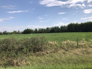 Photo 2: RR 15 Twp 502: Rural Leduc County Rural Land/Vacant Lot for sale : MLS®# E4270767