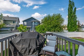 Photo 17: 188 Citadel Crest Green NW in Calgary: Citadel Detached for sale : MLS®# A2051921