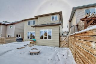 Photo 43: 52 Baywater Court SW: Airdrie Detached for sale : MLS®# A2011934