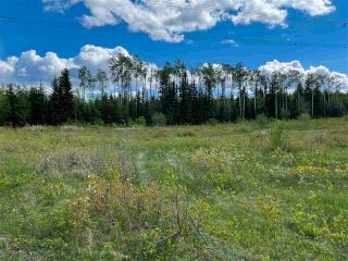 Photo 7: BLK 2 CHARLIE Road: Fraser Lake Land for sale (Vanderhoof And Area)  : MLS®# R2695781
