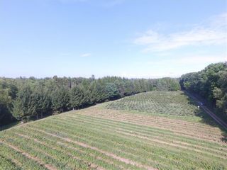 Photo 14: 77721 Orchard Line: Bayfield Agriculture for sale (Bluewater)  : MLS®# 40220700