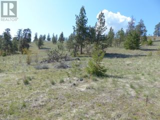 Photo 20: 8900 GILMAN Road in Summerland: Agriculture for sale : MLS®# 198237