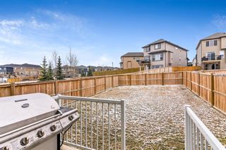 Photo 27: 427 Nolan Hill Drive NW in Calgary: Nolan Hill Detached for sale : MLS®# A1228364