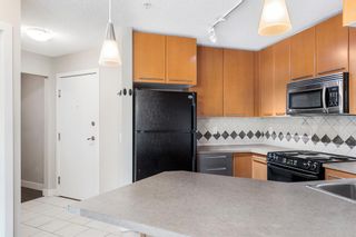 Photo 10: 203 35 Richard Court SW in Calgary: Lincoln Park Apartment for sale : MLS®# A2048959