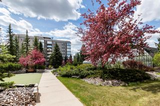 Photo 34: 307 4554 Valiant Drive NW in Calgary: Varsity Apartment for sale : MLS®# A2047540