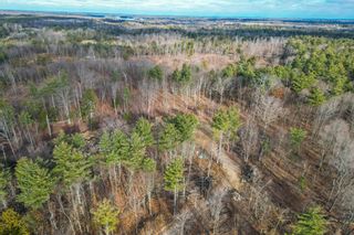 Photo 43: Exclusive 10 acre building lot ready for your dream home nestled between Almonte & Perth!