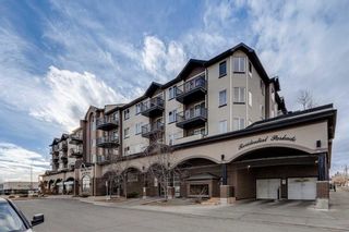 Photo 23: 302 1727 54 Street SE in Calgary: Penbrooke Meadows Apartment for sale : MLS®# A2097125