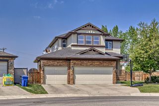 Photo 35: 204 Hawkmere Way: Chestermere Detached for sale : MLS®# A2053906