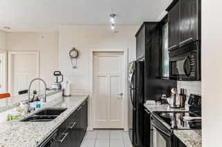 Photo 11: 313 3410 20 Street SW in Calgary: South Calgary Apartment for sale : MLS®# A1225768