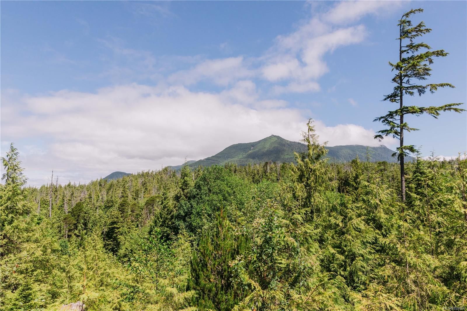 Main Photo: LOT D Hawkes Rd in Ucluelet: PA Ucluelet Land for sale (Port Alberni)  : MLS®# 924866