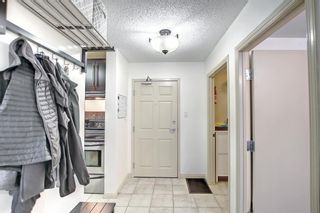 Photo 17: 213 790 Kingsmere Crescent SW in Calgary: Kingsland Apartment for sale : MLS®# A1190269