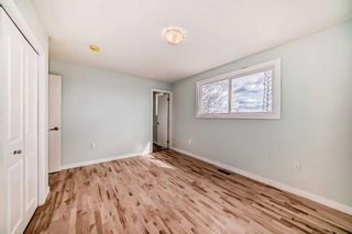 Photo 15: 147 Rundlecairn Road NE in Calgary: Rundle Detached for sale : MLS®# A2123670
