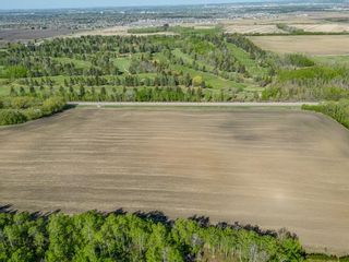 Photo 14: 38319 RR 270: Rural Red Deer County Commercial Land for sale : MLS®# A2046827