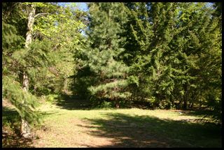 Photo 7: 21 6500 Southwest 15 Avenue in Salmon Arm: Panorama Ranch Vacant Land for sale : MLS®# 10230290