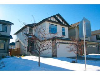 Photo 20: 210 CRANFIELD Gardens SE in CALGARY: Cranston Residential Detached Single Family for sale (Calgary)  : MLS®# C3553351