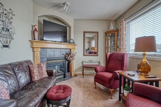 Photo 19: 427 Bridlewood Avenue SW in Calgary: Bridlewood Detached for sale : MLS®# A1187607