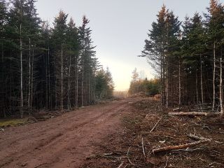 Photo 3: LOT MCNALLY Road in Victoria Harbour: 404-Kings County Vacant Land for sale (Annapolis Valley)  : MLS®# 201923444